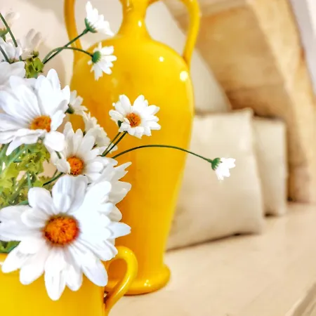 Carpe Diem E فندق مبيت وإفطار 5*