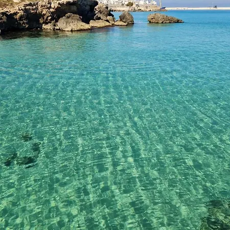 住宿加早餐酒店 Carpe Diem E