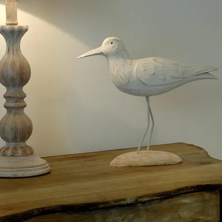 Carpe Diem E 莫诺波利